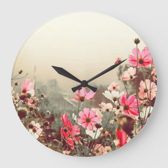 Morning light, blooming pink cosmos. large clock (Front)