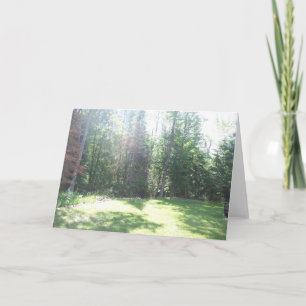 Morning Light Card