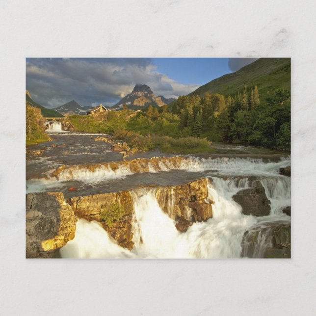 Morning light greets Swiftcurrent Falls in the Postcard (Front)