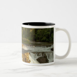 Morning light greets Swiftcurrent Falls in the Two-Tone Coffee Mug