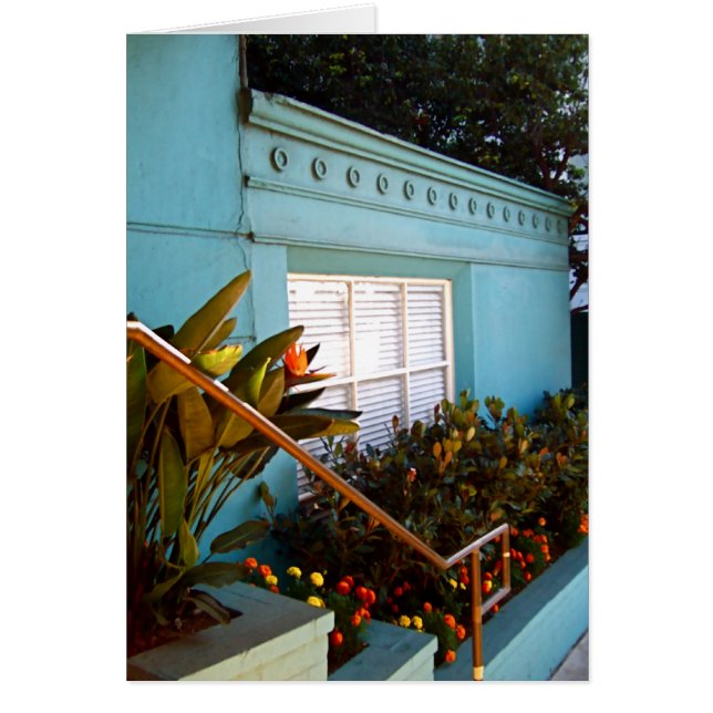 Morning Light in Santa Monica, California (Front)