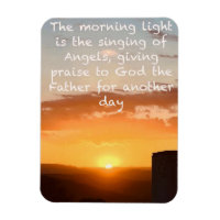 Morning light