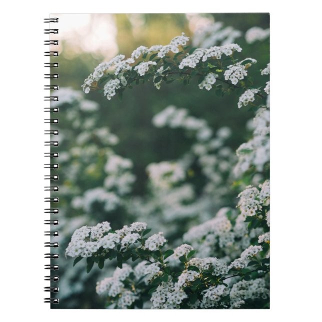 MORNING LIGHT NOTEBOOK (Front)
