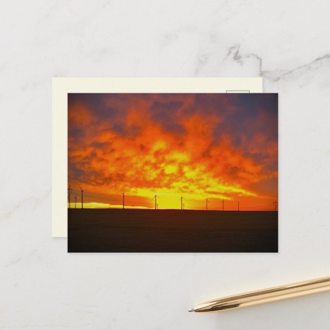 Morning Light Postcard (Front/Back In Situ)