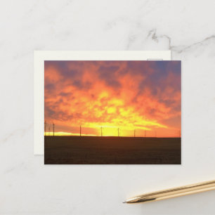 Morning Light Postcard