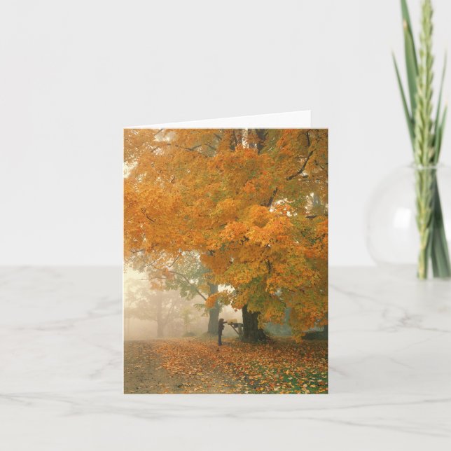 Morning Mail Note Card (Front)