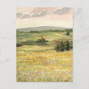 Morning Meadow Postcard