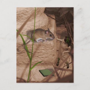 Morning Miss Mouse.. Postcard