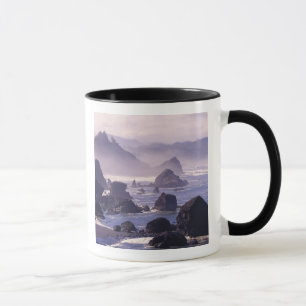 Morning mist along Oregon coast near Nesika, Mug