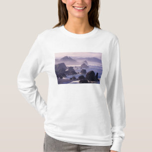 Morning mist along Oregon coast near Nesika, T-Shirt