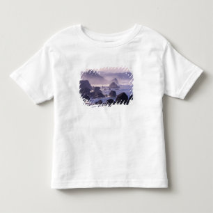 Morning mist along Oregon coast near Nesika, Toddler T-Shirt