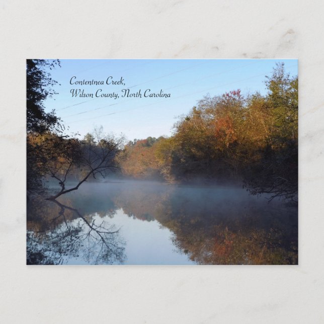 Morning Mist - Contentnea Creek Postcard (Front)