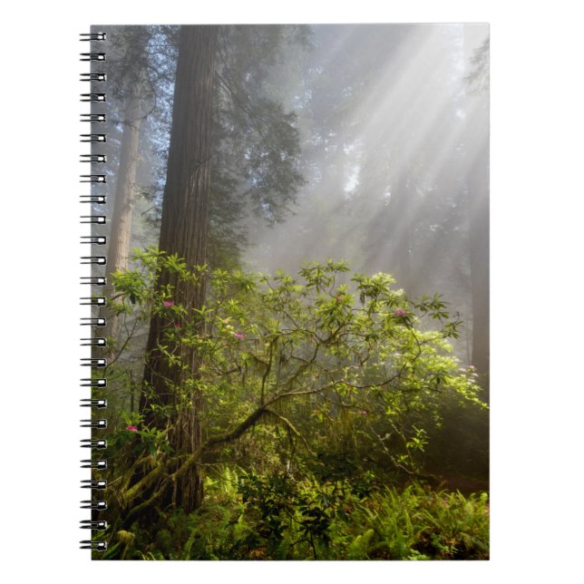 Morning Mist on Rhododendron Notebook (Front)