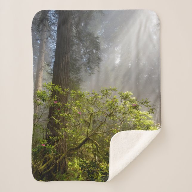 Morning Mist on Rhododendron Sherpa Blanket (Front)