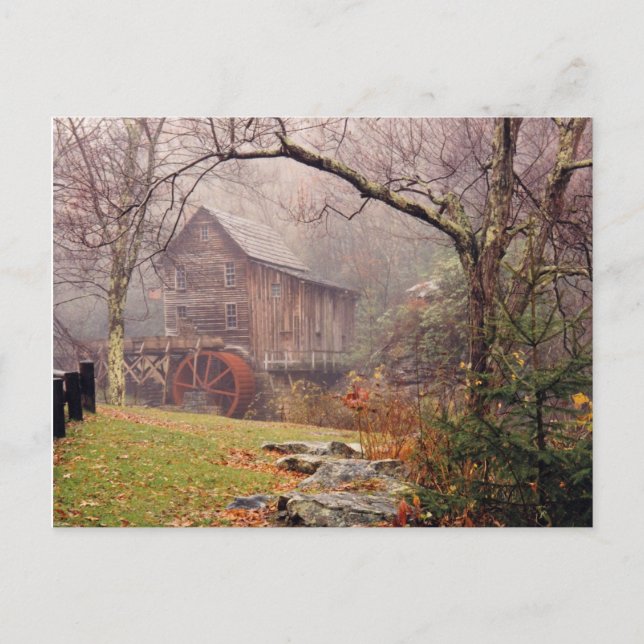 Morning Mist Postcard (Front)