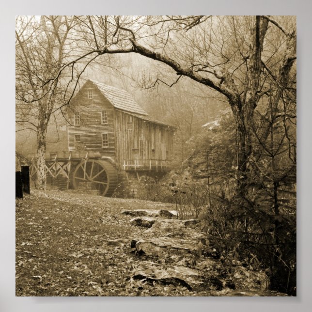 Morning Mist Poster (Front)