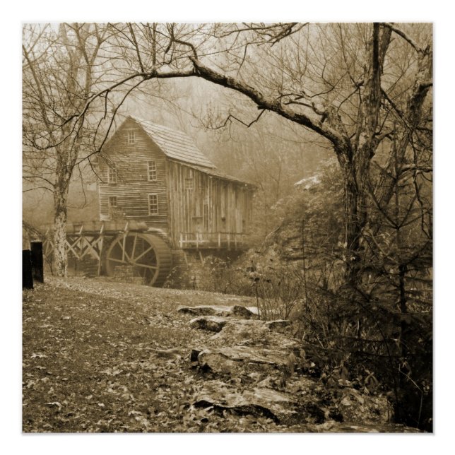 Morning Mist Poster (Front)