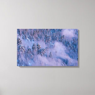 Morning Mist (Winter) Canvas Print