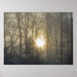 Morning Mood Poster