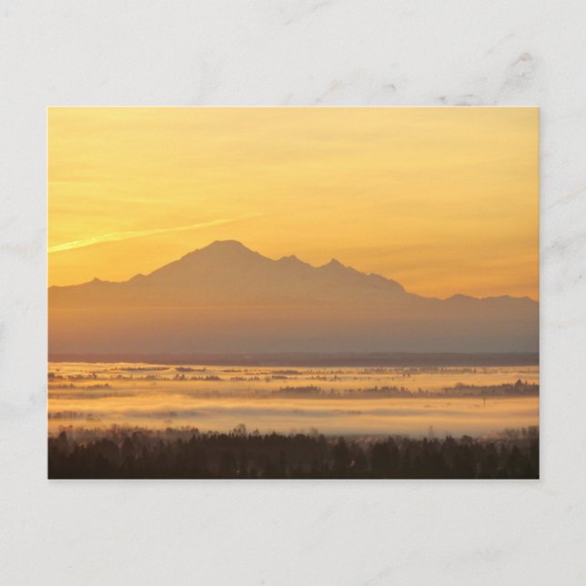Morning Mountain Magic. Postcard (Front)