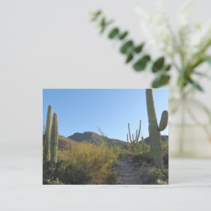 Morning on King Canyon Trail Postcard