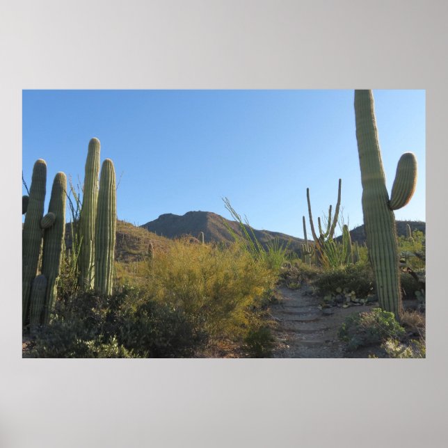 Morning on King Canyon Trail Poster (Front)