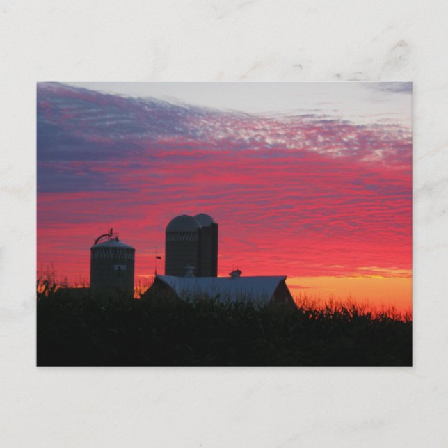 Morning On The Farm Postcard (Front)