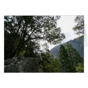 Morning on the Trail to Vernal Falls in Yosemite