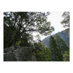 Morning on the Trail to Vernal Falls in Yosemite Photo Print