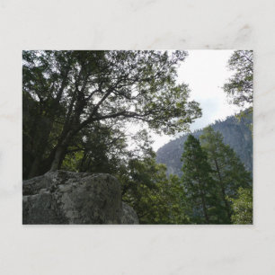 Morning on the Trail to Vernal Falls in Yosemite Postcard