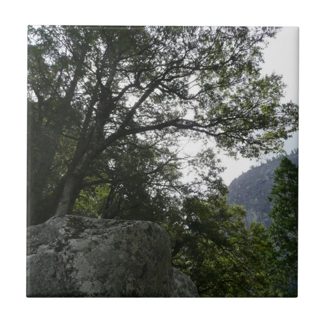 Morning on the Trail to Vernal Falls in Yosemite Tile (Front)