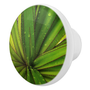 Morning Rain on the Screw Pine Ceramic Knob
