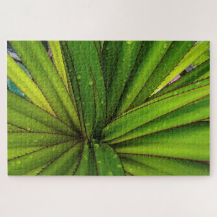 Morning Rain on the Screw Pine Jigsaw Puzzle