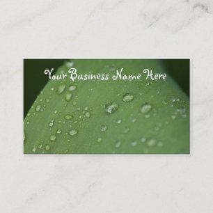 Morning Rain; Promotional Business Card