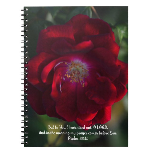 Morning Red Rose Bible Verse Prayer Journal (Front)