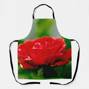 Morning red Rose covered with dew drops Apron