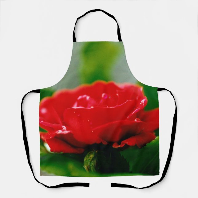 Morning red Rose covered with dew drops  Apron (Front)