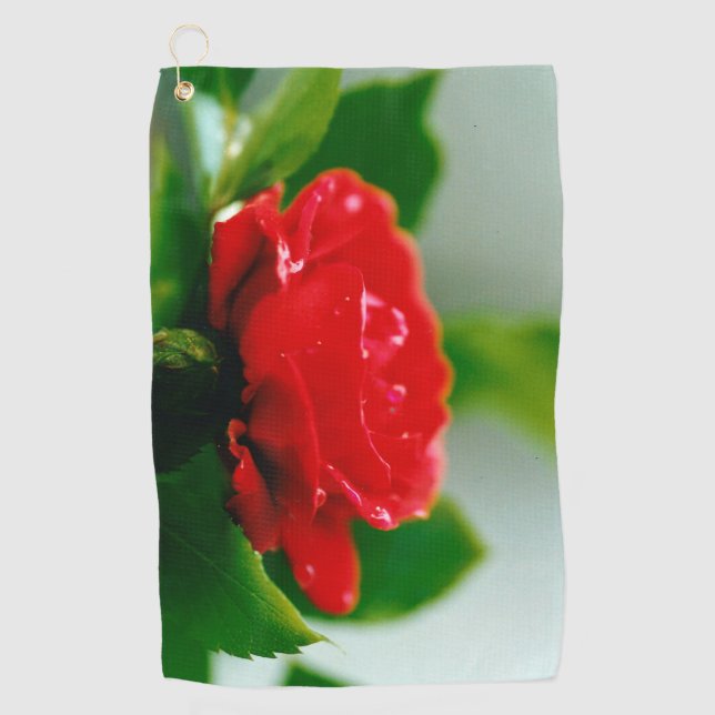 Morning red Rose covered with dew drops  Golf Towel (Front)