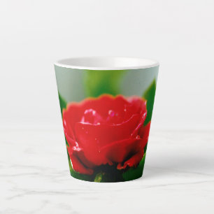 Morning red Rose covered with dew drops  Latte Mug