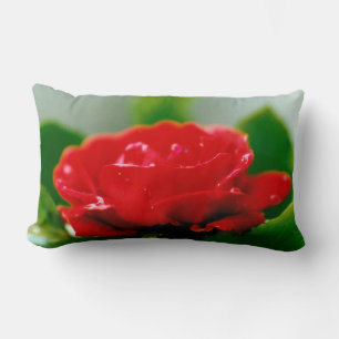 Morning red Rose covered with dew drops  Lumbar Cushion