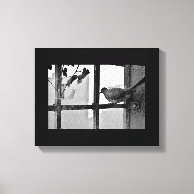 Morning Rest Canvas Print (Front)