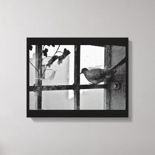 Morning Rest Canvas Print