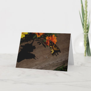 "Morning Shadow" Easter Card