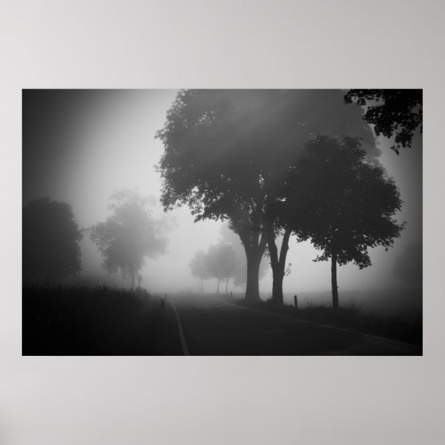 Morning shapes poster (Front)