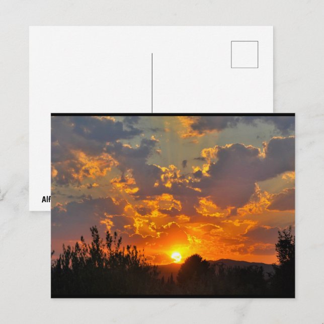 Morning Sky Sunrise Landscape Postcard (Front/Back)