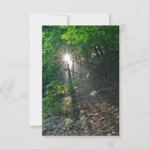 Morning Sunbeams of Kaposia Park Invitation