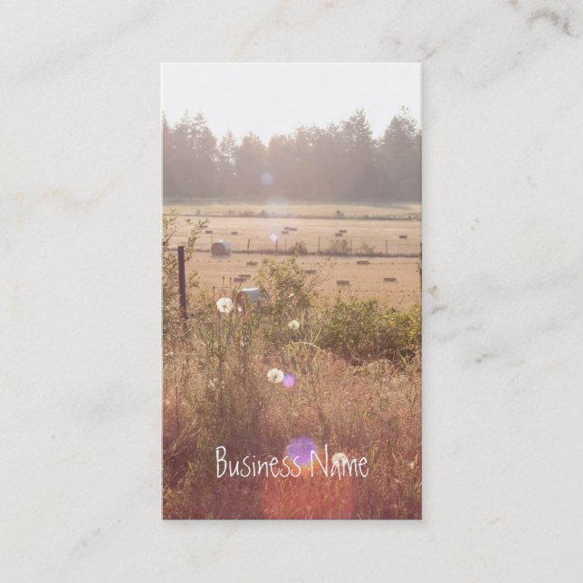 Morning Sunlight Business Card (Front)