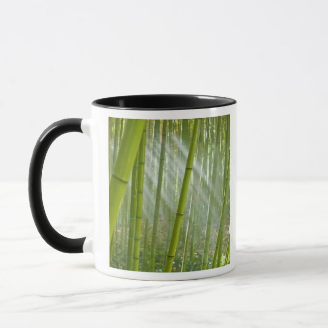 Morning sunlight filtering through bamboo mug (Left)