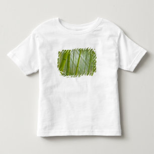 Morning sunlight filtering through bamboo toddler T-Shirt