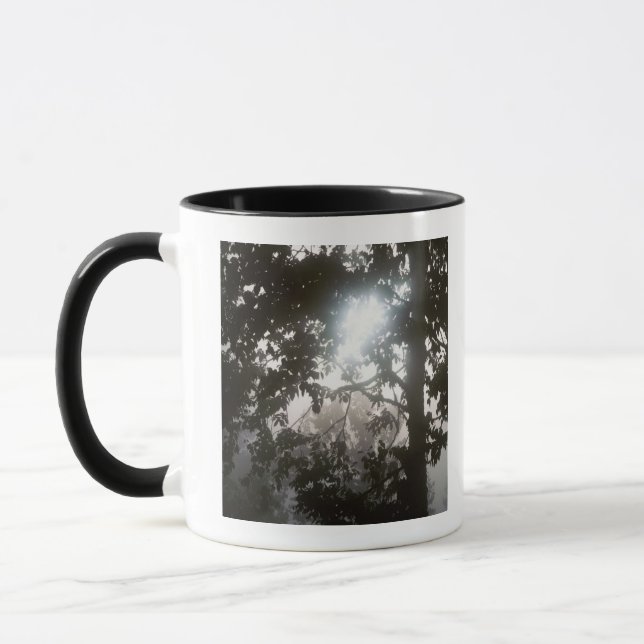Morning sunlight through foliage of jungle mug (Left)